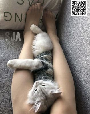 精品国产18久久久久久洗澡_BT种子搜索